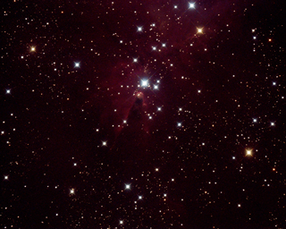 NGC2264