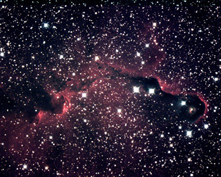 Click to view larger astrophoto. IC 1396 Elephant Trunk
