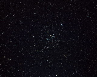Click to view larger astrophoto. M41