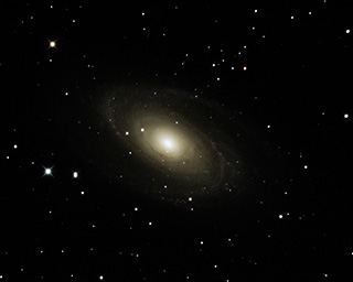 Click to view larger astrophoto. M81