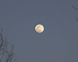 Click to view larger astrophoto. Moon on Groundhog Day