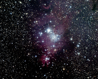 Click to view larger astrophoto. NGC2264(oc)
