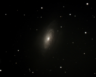 NGC3521