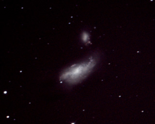 Click to view larger astrophoto. NGC4490 Cocoon Galaxy