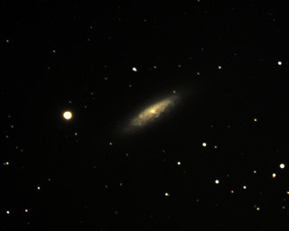 Click to view larger astrophoto. NGC 6503
