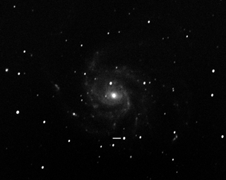 Click to view larger astrophoto. SN in M101